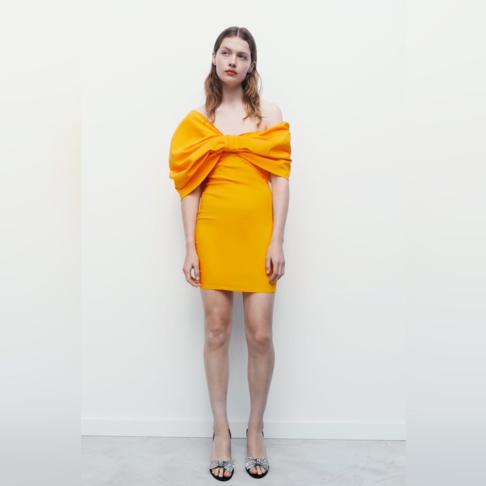 Zara Bow Sleeve Dress